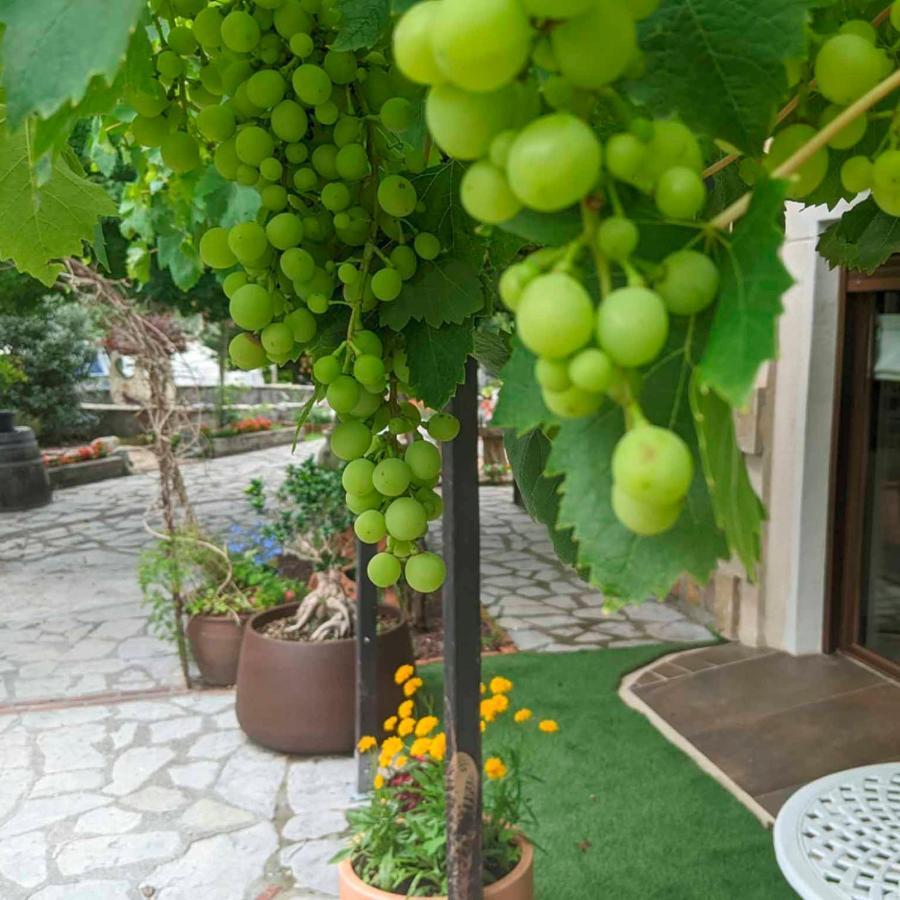 Casa Rural Bilbao Caserio Gondra Alquiler Habitaciones Mungia Kültér fotó